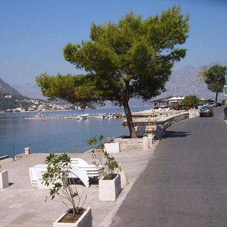 Apartmani Kovacevic كوتور المظهر الخارجي الصورة